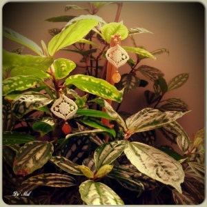 Small white Venetian lace earrings with yellow agate and gold hardware